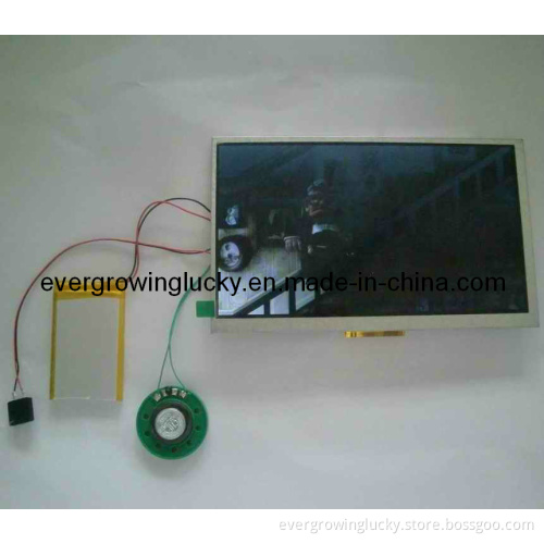 4.3" LCD Display Module